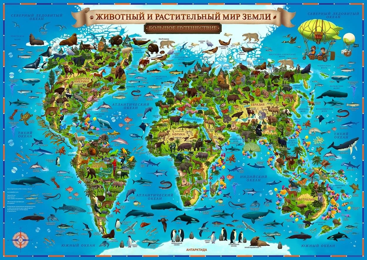 Карта "Животный и растительный мир Земли", в тубусе